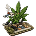Weed Smokin US